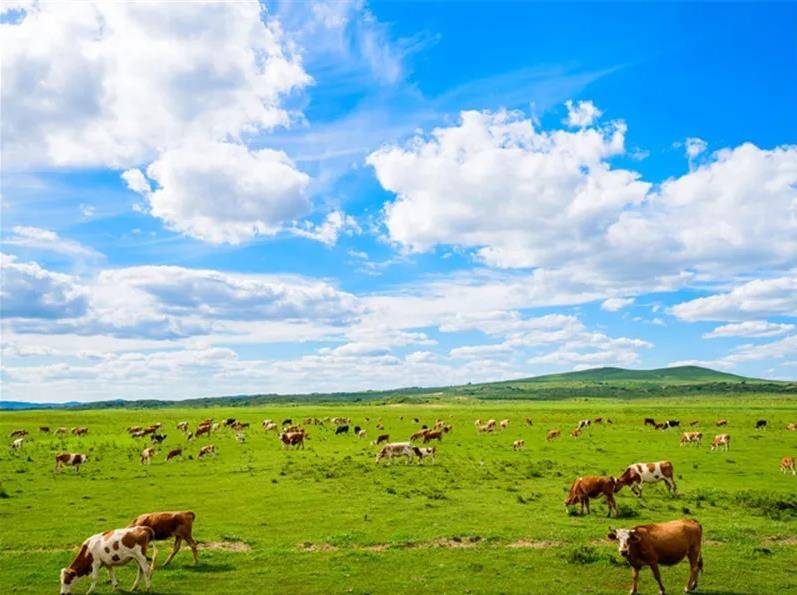 内蒙古,辽阔草原的自然与文化瑰宝