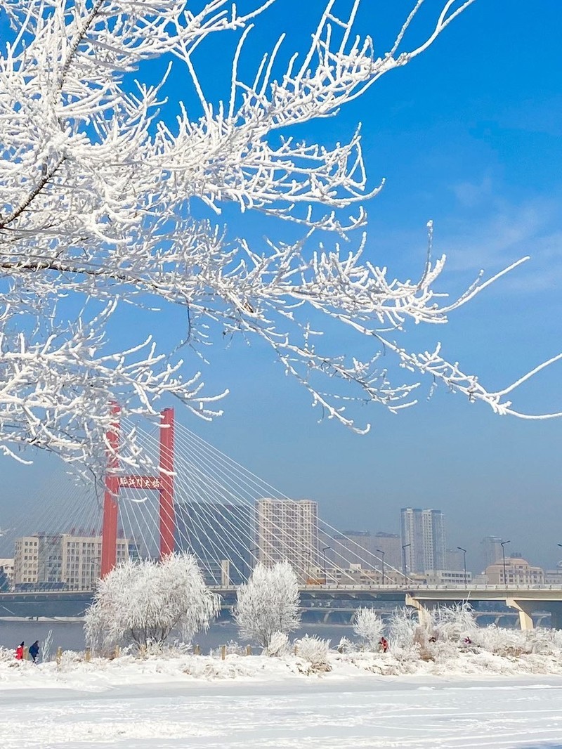 吉林,致尊敬的听众朋友们